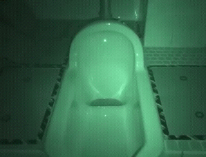 Крыса из унитаза