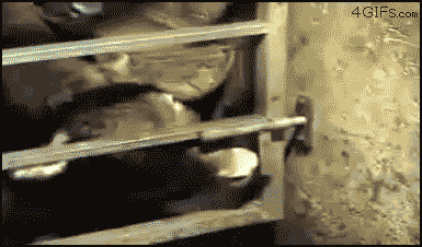 Побег из коровника