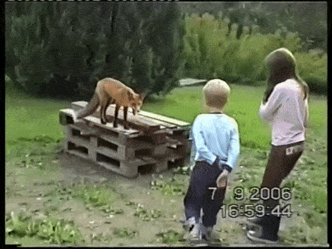 (3)