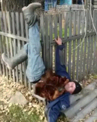 Подлый забор