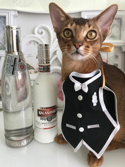 AB6ACEB9-E237-4FB1-A81B-8039AA1B97D2