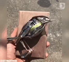 Khudozhnik_prevraschaet_starye_stolovye_pribory_v_takie_skulptury