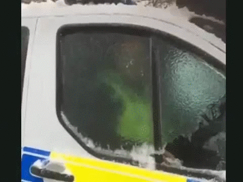 полисмены веселятся