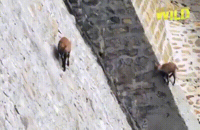 По самому краю...