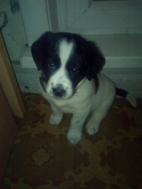 007 без недели2 мес 2