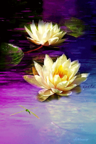 152035397157866897 (2)