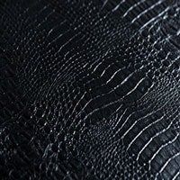 crocodile_black