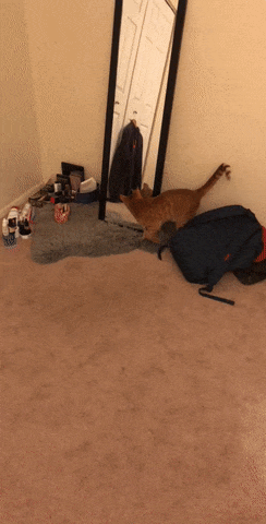 b3435c39cb0c97755a0d78eab2dba92f_142930_1520704398