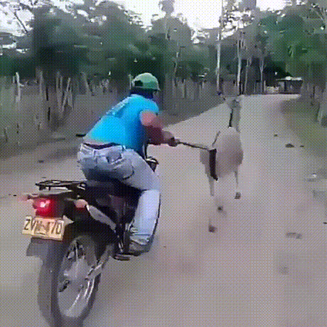 9a173028d29cdf7-a-nw-p