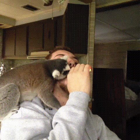 1423575820-9033c1b4a65e0e23de5d348dc85da227