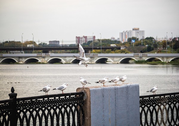 0_17efac_6540b0d2_orig