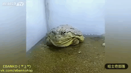 https__vk_com_ebankotop