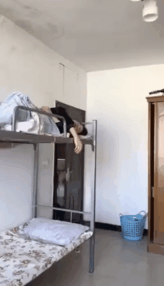 -большие-гифки-азиатские-выдумщики-4375196