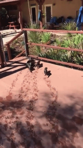 tmp_cleverpub_5eb7077d5932e75632ddbc7801d3e436