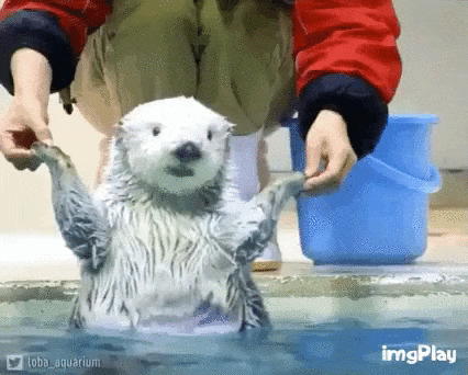 tmp_cleverpub_772d00cb700b6e40127cb49863a2f2e3