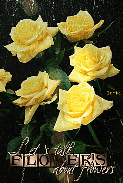 152197735131284368 (1)