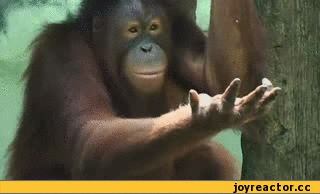 -обезьяна-курильщик-песочница-удалённое-608684