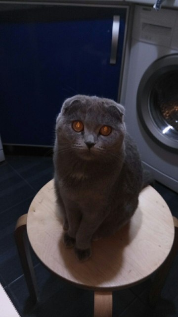 photo5321315809907288247