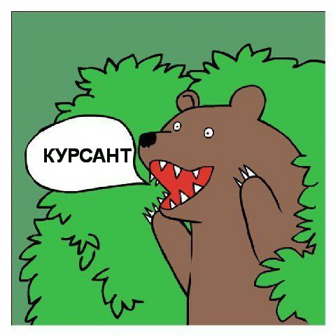 medved_9359424_orig_