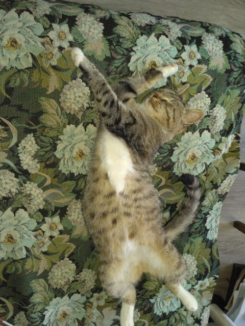 IMG_2016-07-09_134409