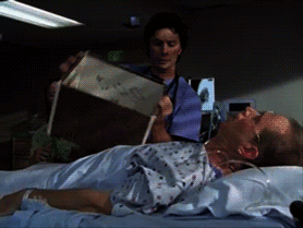 Кототерапия