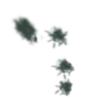 schatten links 1+