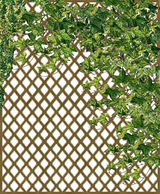 0_11d2b7_3fbed757_orig