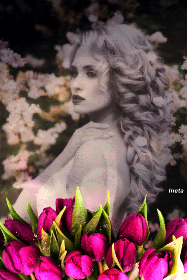 152329405864955542 (3)