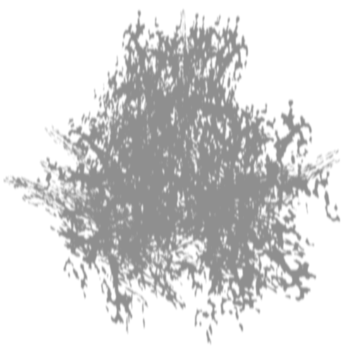 treeshadow_zps88f3fee5