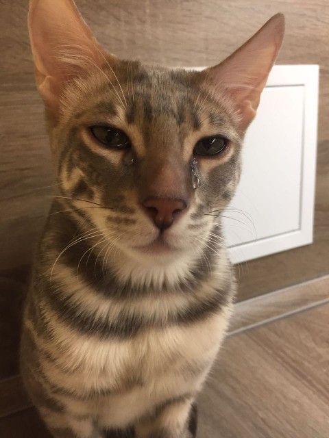 WhatsApp Image 2018-04-15 at 14.04.18