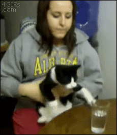 Хватай стакан