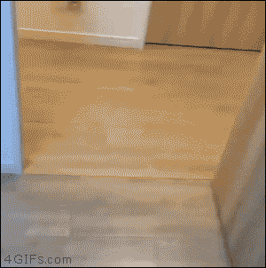 Кот на кровать