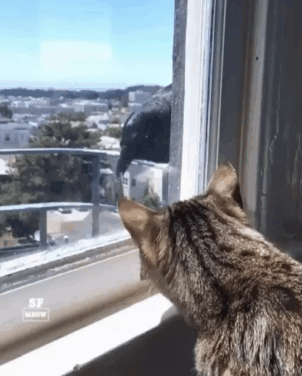 Кышь отседова.