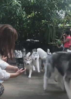 tmp_cleverpub_1cb64ed33ce4fd3c320e24baef2028db