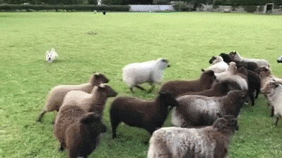 84e3fe34d5d675a6600aef796f880f9b