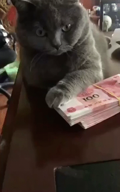 6e2b037ab086a371343ecfaf77e47e4c