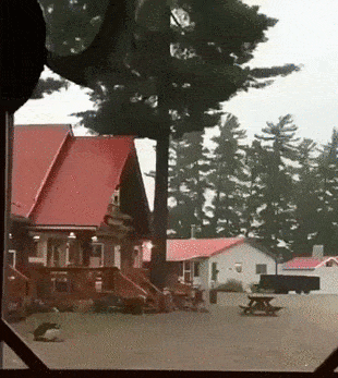 a6c9bcd17a7dcf761f6f39e0a925eb5a