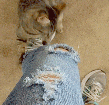 e2b2d4e0d4036c577fcef32dc35c3497