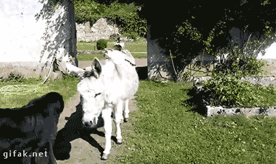 745838b7b9d7520867b330016b6845da