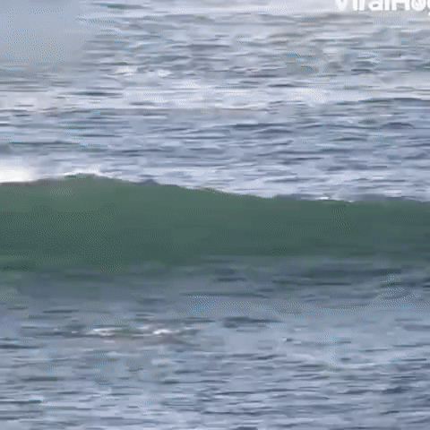 ezgif.com-video-to-gif