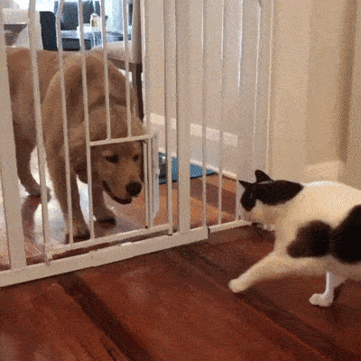 76b97ec31c1a4bb41728a8ddc2821025