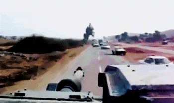 daily-morning-awesomeness-great-252