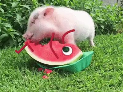 ezgif.com-video-to-gif (15)