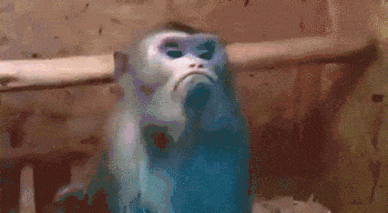 76b0c8e9gy1fr6rkhrcumg20bu06i7wi