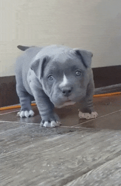 Знакомство