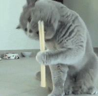 37b09832922d221bb888b844951f5fbf