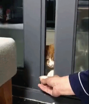 401db5569871180a980dc4609d59928f