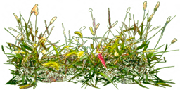 29aaf341-fdac-1abd-d032-7a2b9eda050c
