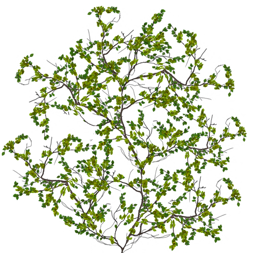 b01c43df-f5cf-cede-ade3-4619a7ede62f