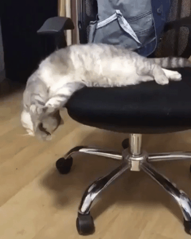 a6778a6540c09f3cd9f5b50dfa1a5ce5